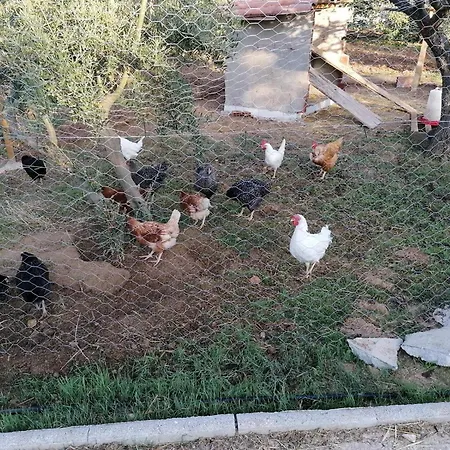 Arcos Малага